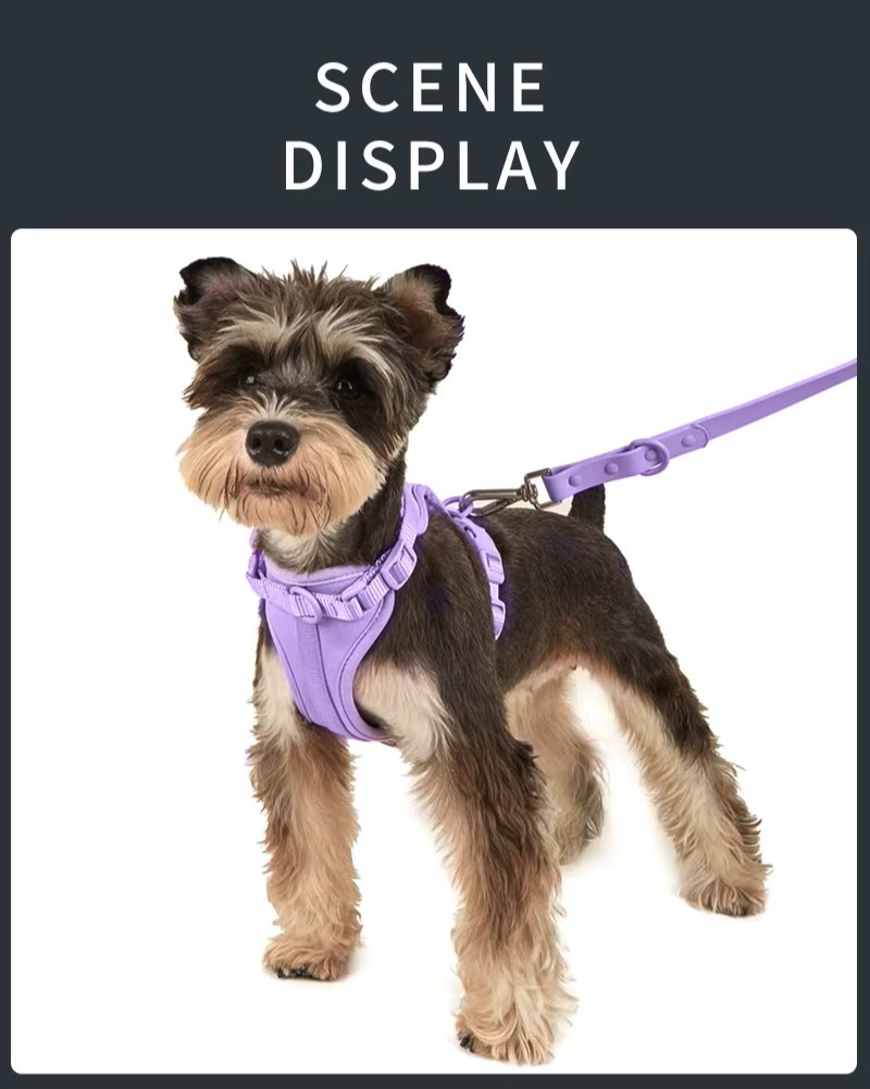 Pawfect Story™ Premium Comfort Harness Set