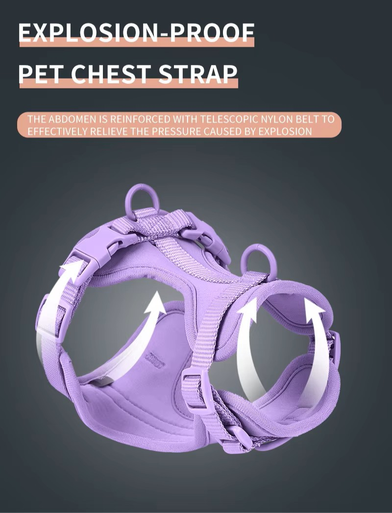Pawfect Story™ Premium Comfort Harness Set